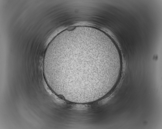 X0000114391049200911061510