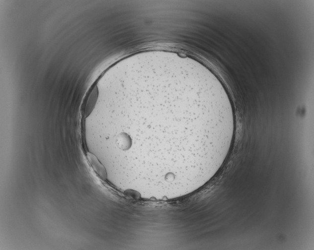 X0000114391050200911061510