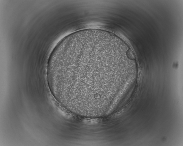 X0000114391051200911061510