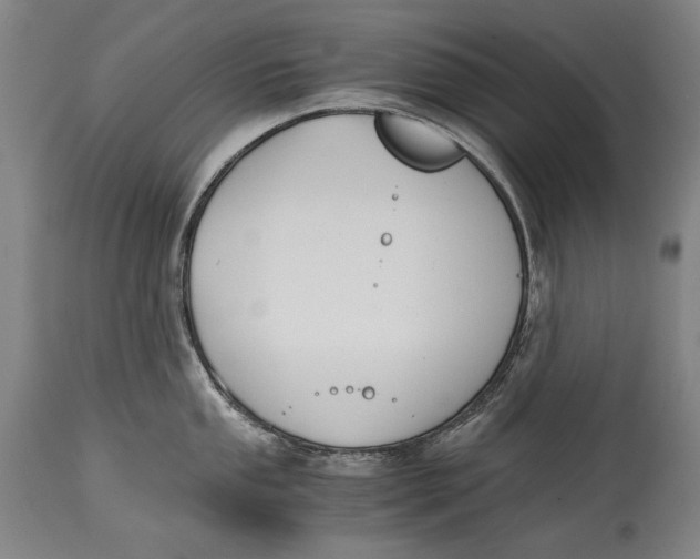X0000114391053200911061510
