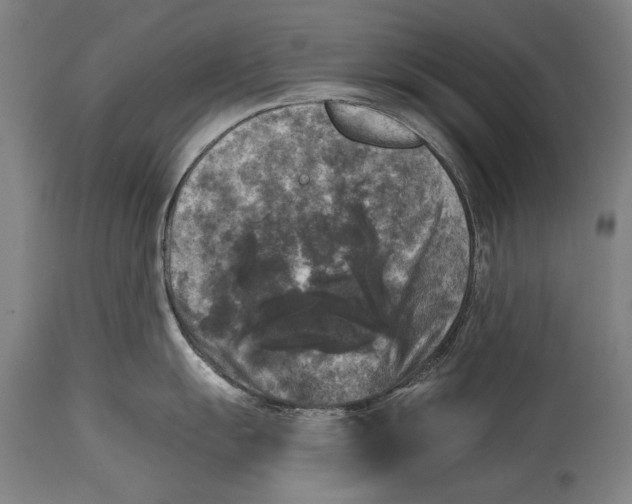 X0000114391055200911061510