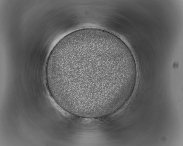 X0000114391056200911061510