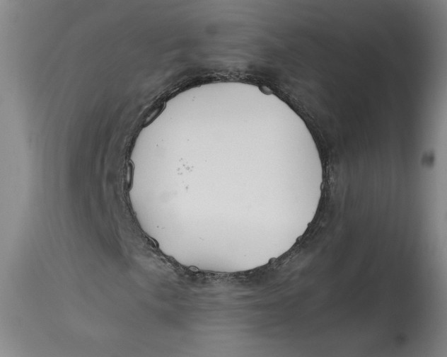 X0000114391057200911061510