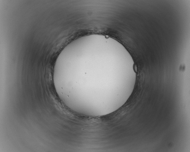 X0000114391058200911061510