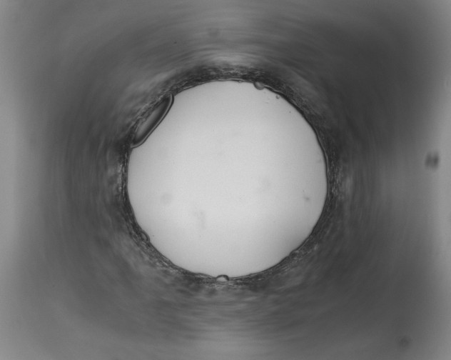 X0000114391061200911061509