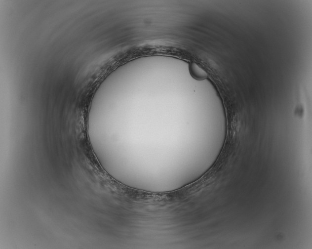 X0000114391062200911061509