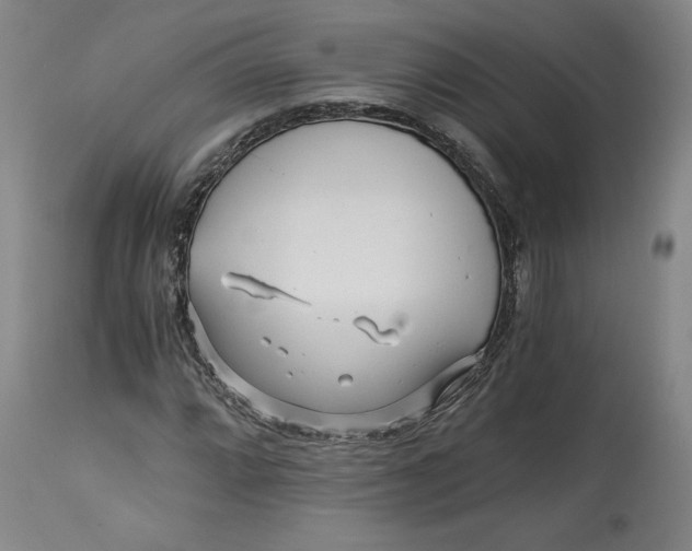 X0000114391064200911061509