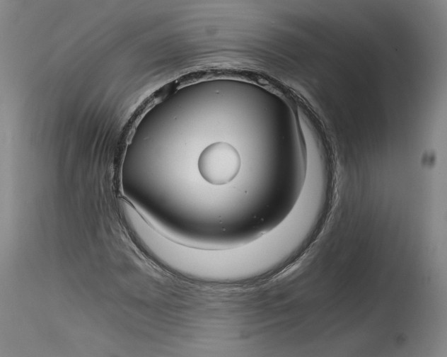 X0000114391065200911061509