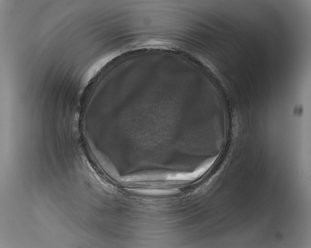 X0000114391066200911061509