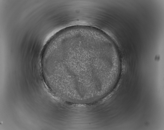 X0000114391070200911061509
