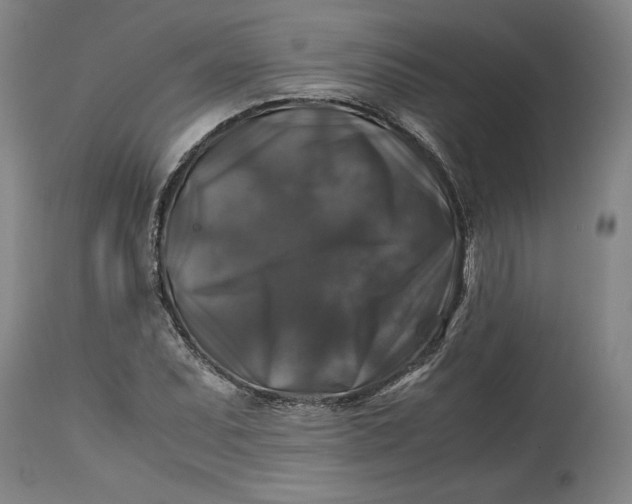 X0000114391071200911061509