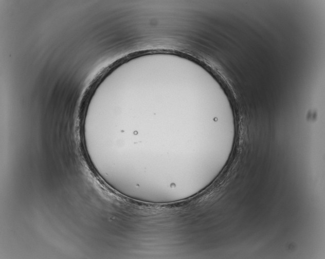 X0000114391072200911061509