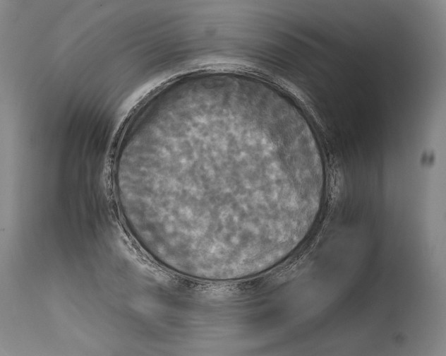 X0000114391074200911061509