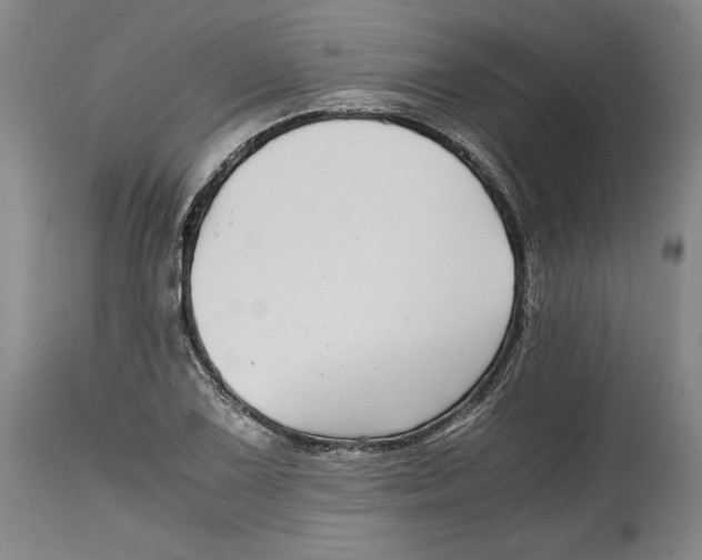 X0000114391075200911061509