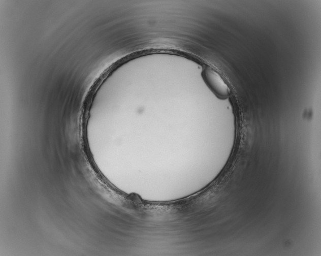 X0000114391076200911061509