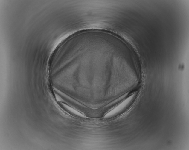 X0000114391077200911061509