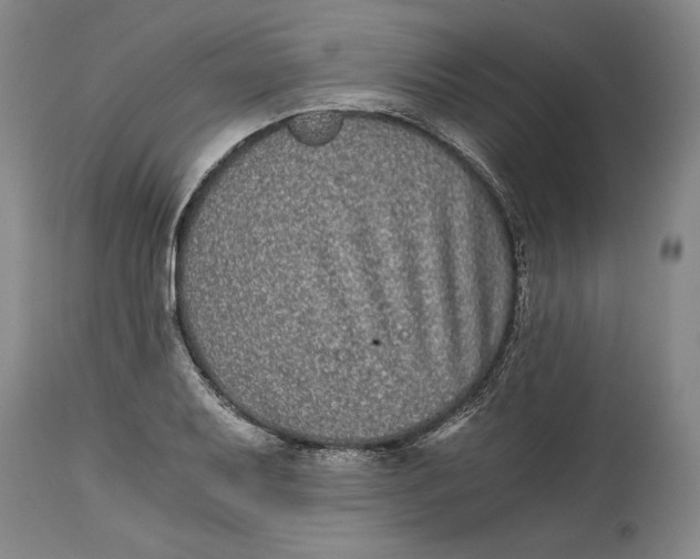 X0000114391079200911061509