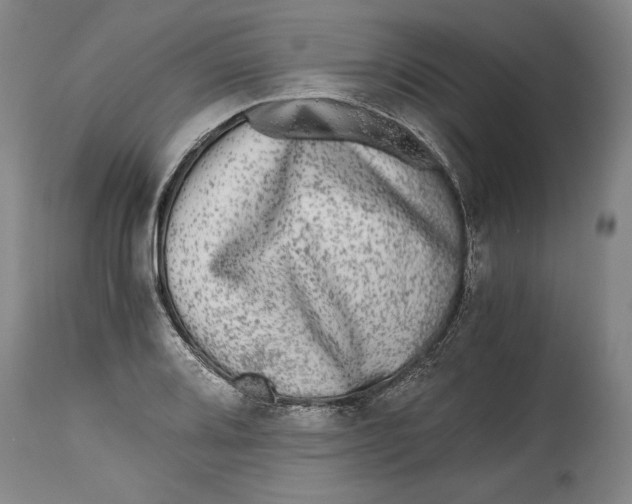 X0000114391080200911061509