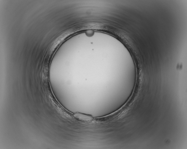 X0000114391081200911061509