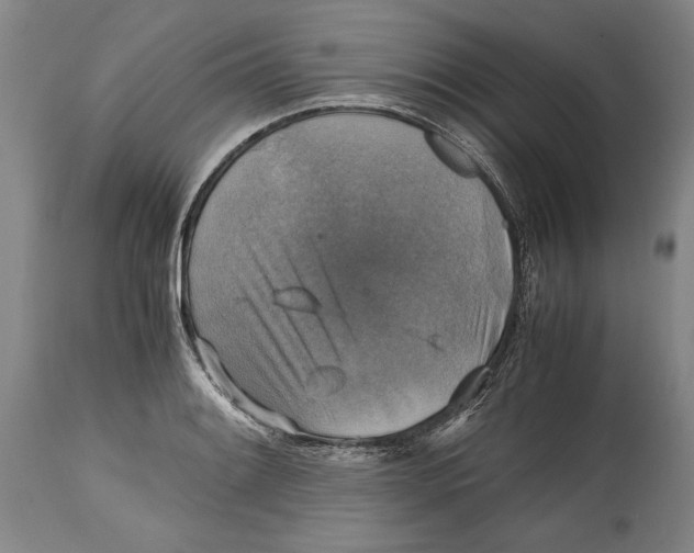 X0000114391084200911061509