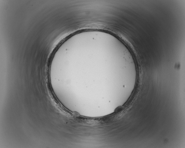 X0000114391085200911061509