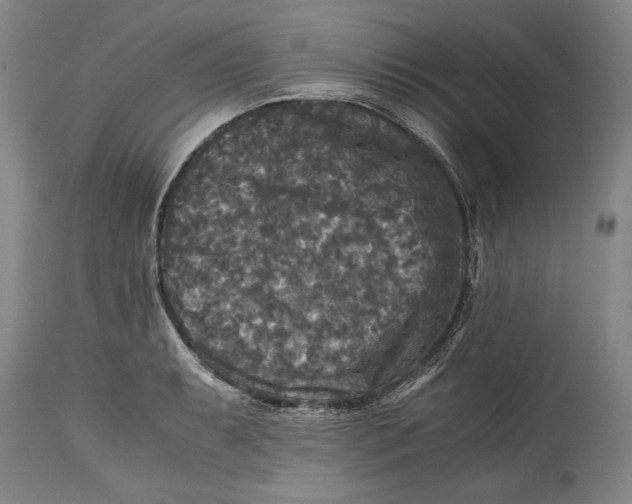 X0000114391087200911061509