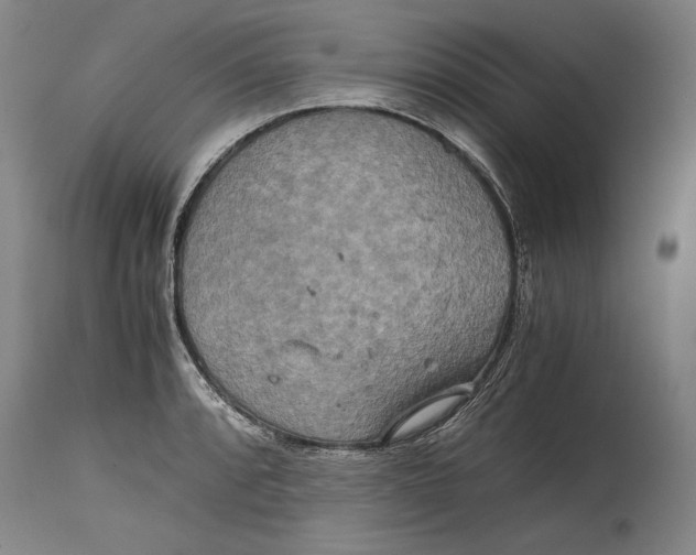 X0000114391088200911061509