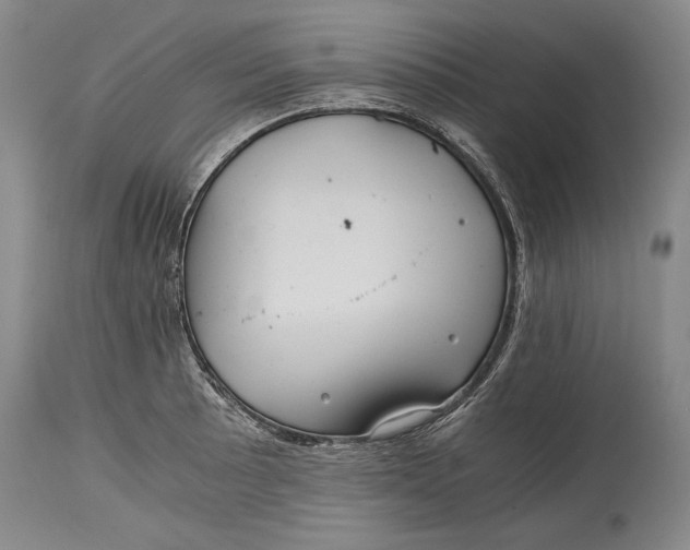X0000114391089200911061509