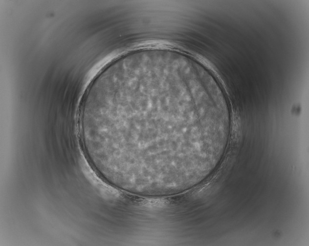 X0000114391090200911061509