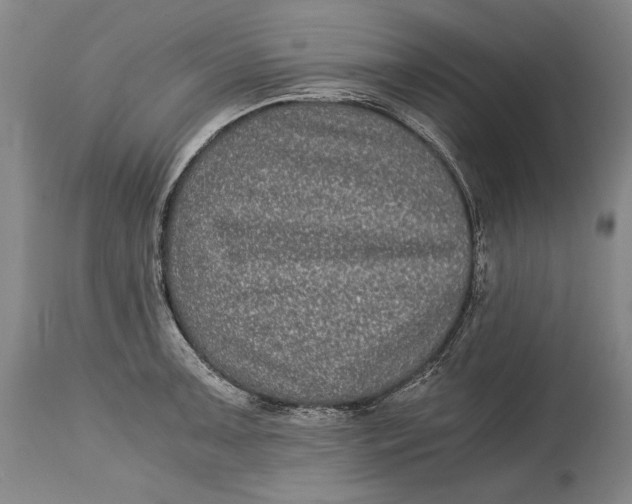 X0000114391091200911061509