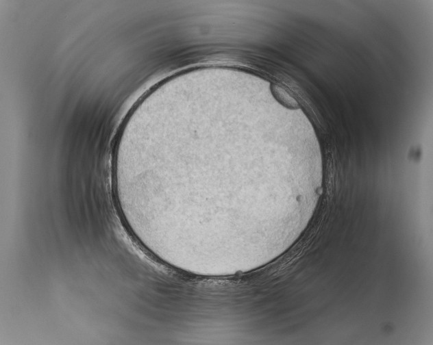 X0000114391092200911061509
