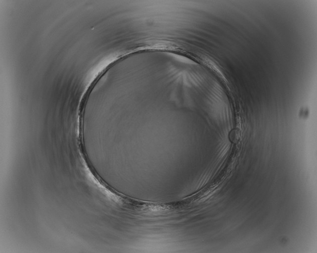 X0000114391095200911061509