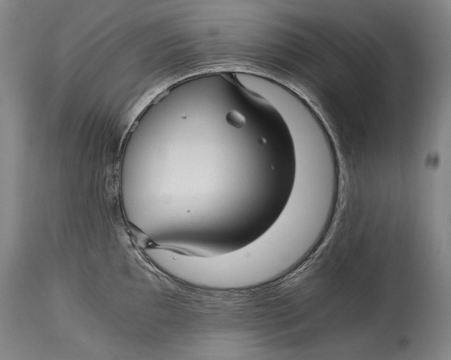 X0000114391097200911061509