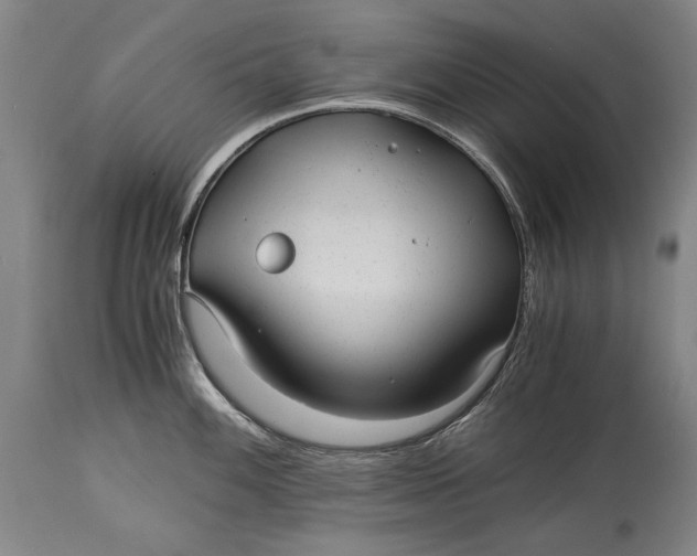 X0000114391100200911061509