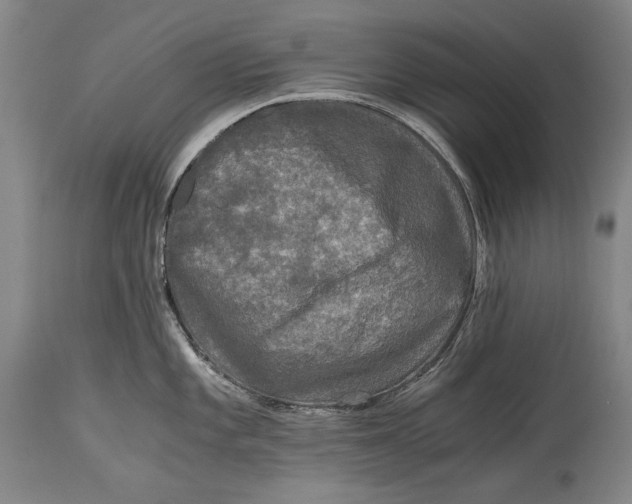 X0000114391101200911061509