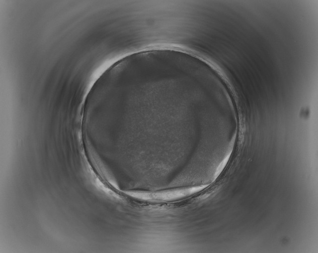 X0000114391102200911061509