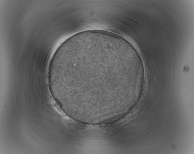 X0000114391104200911061509