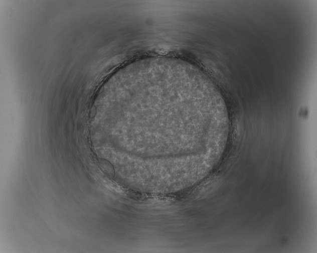 X0000114391105200911061508