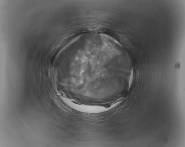 X0000114391106200911061508