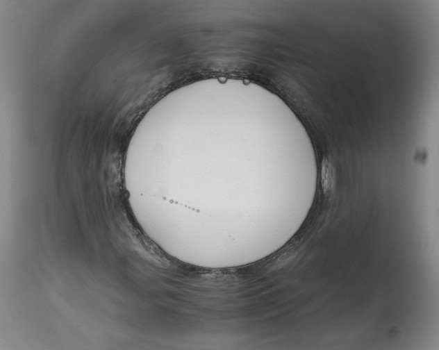 X0000114391107200911061508