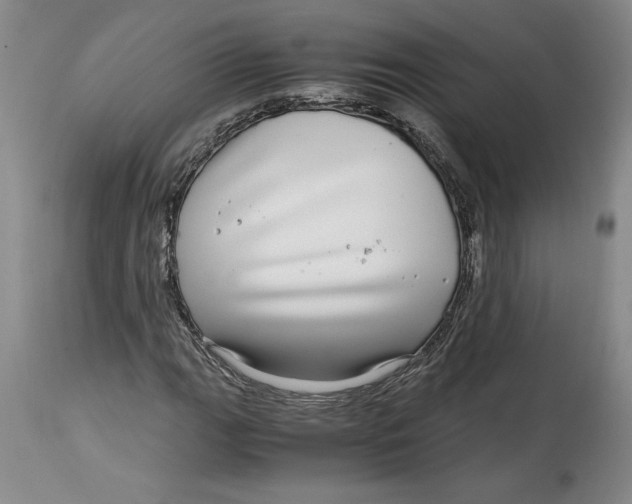 X0000114391111200911061508