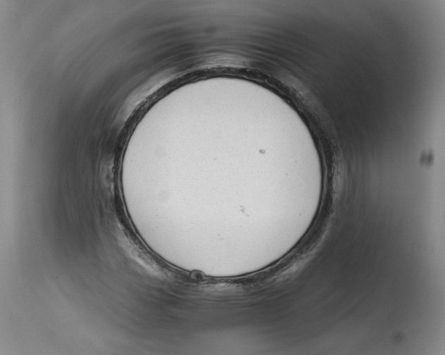 X0000114391113200911061508