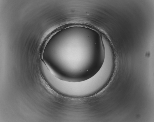 X0000114391114200911061508