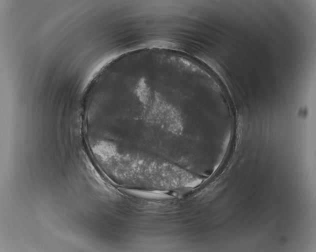 X0000114391115200911061508