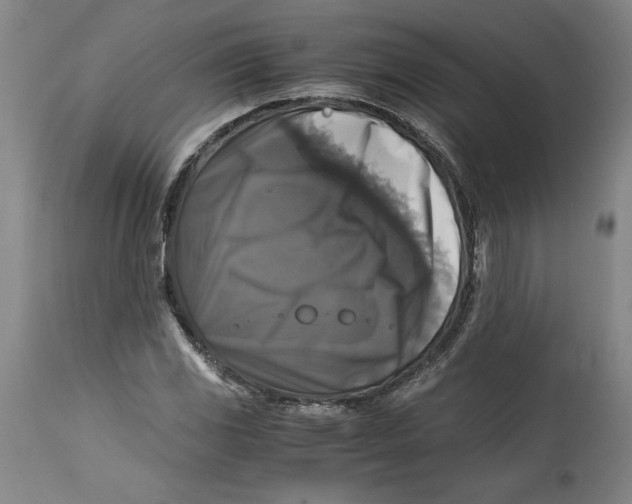 X0000114391117200911061508