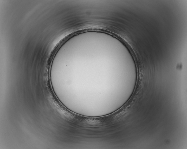 X0000114391119200911061508