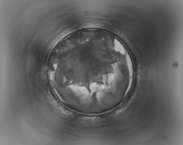X0000114391121200911061508