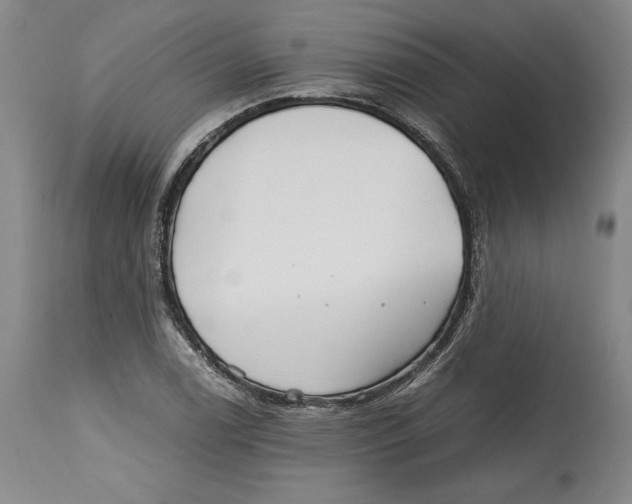 X0000114391122200911061508