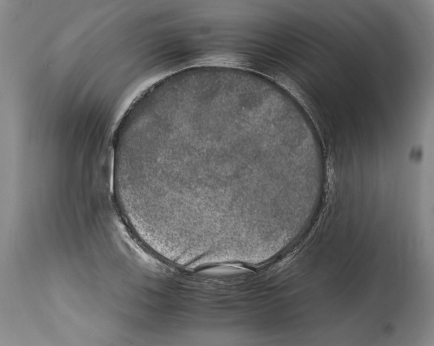 X0000114391123200911061508