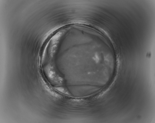 X0000114391125200911061508